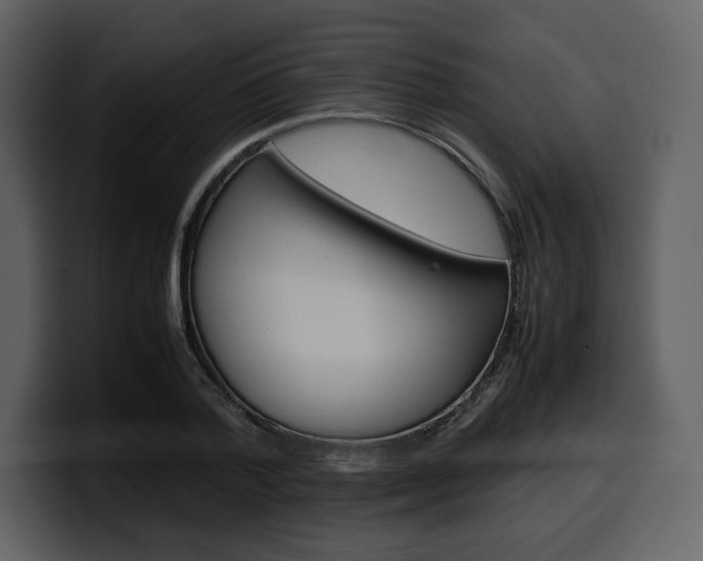 X0000099570788200805160725