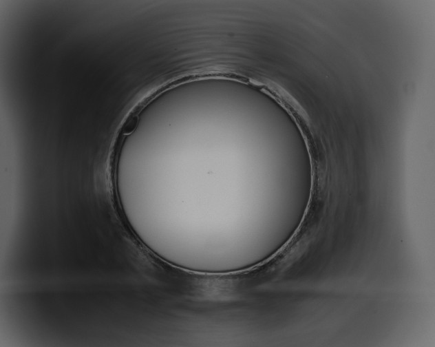 X0000099570789200805160725