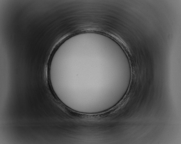 X0000099570790200805160725