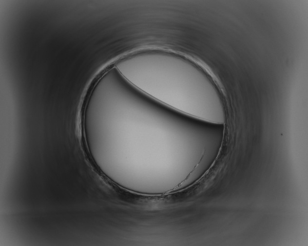 X0000099570791200805160725