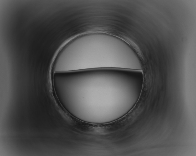 X0000099570792200805160725