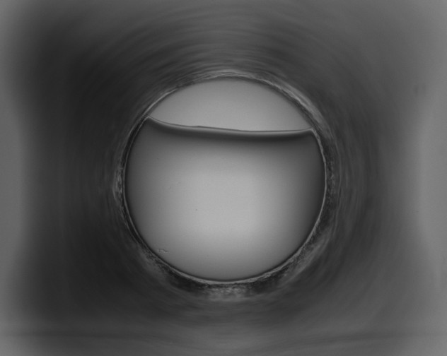 X0000099570793200805160725