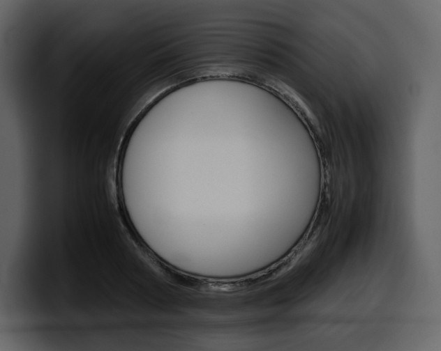 X0000099570794200805160725