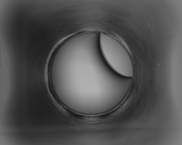 X0000099570795200805160725