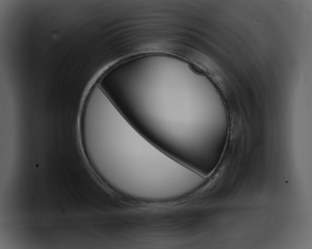X0000099570796200805160725