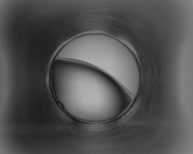 X0000099570797200805160725