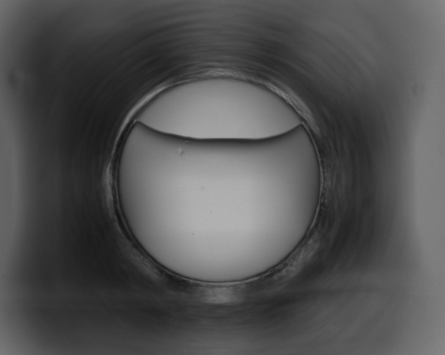X0000099570798200805160725