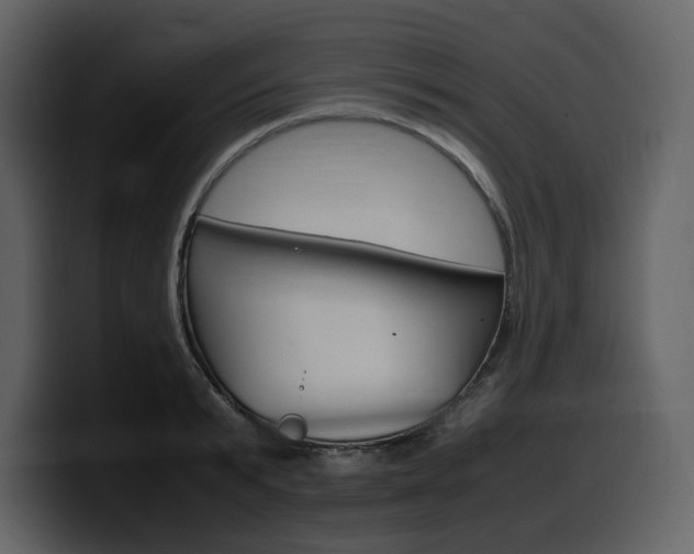 X0000099570799200805160725