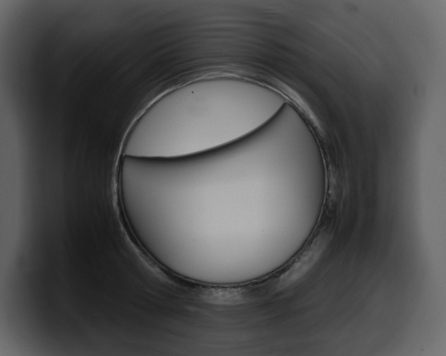 X0000099570802200805160725