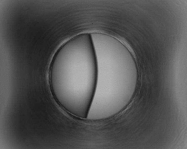 X0000099570805200805160724
