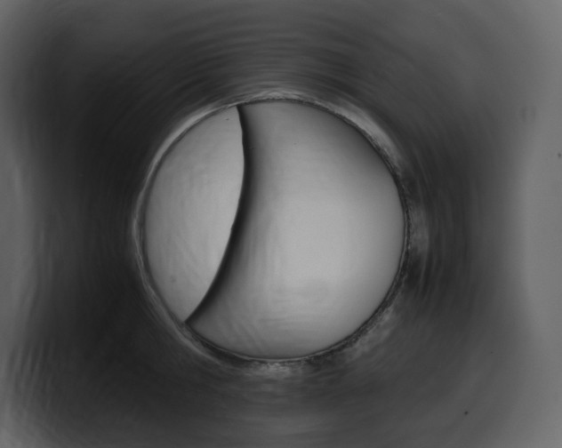 X0000099570806200805160724