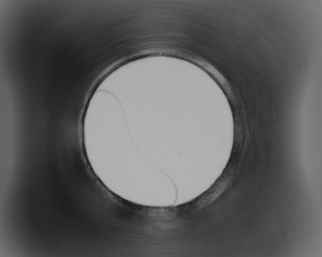 X0000099570807200805160724