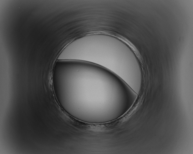 X0000099570809200805160724