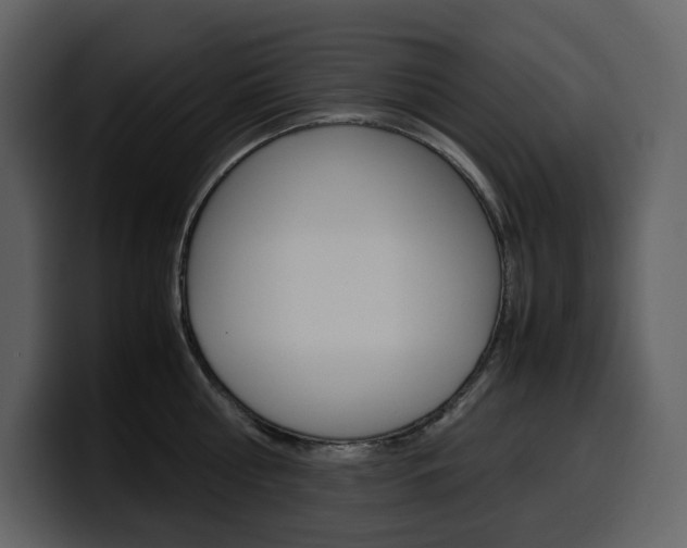 X0000099570810200805160724