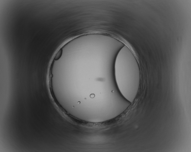 X0000099570811200805160724