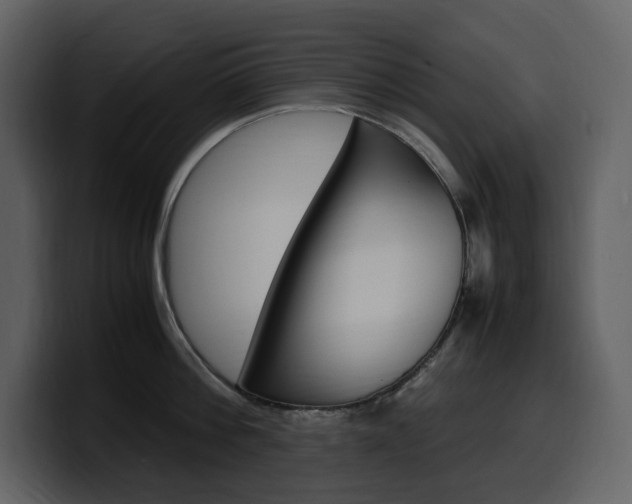 X0000099570812200805160724