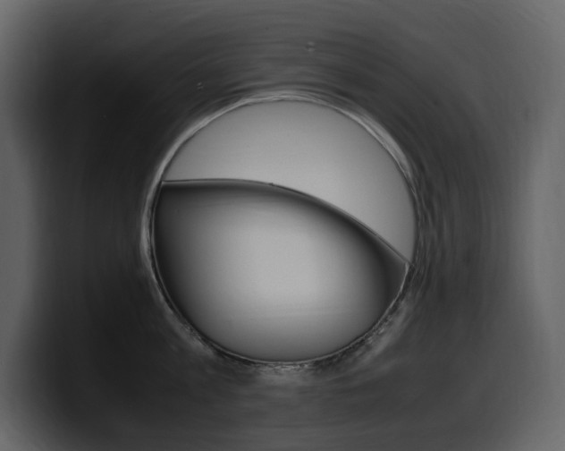 X0000099570813200805160724