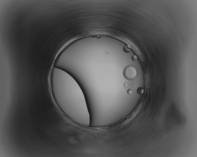 X0000099570814200805160724
