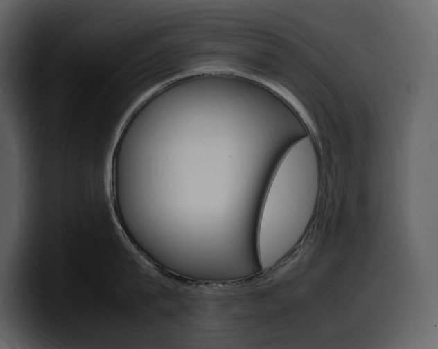 X0000099570815200805160724