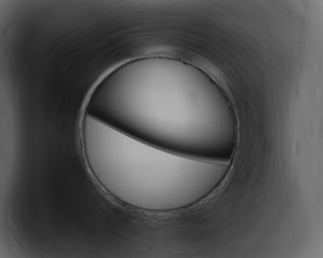 X0000099570816200805160724