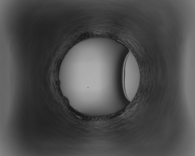X0000099570817200805160724