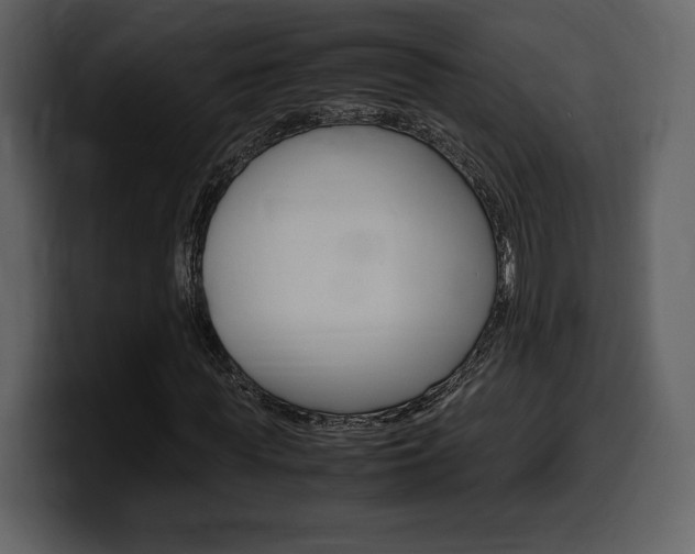 X0000099570819200805160724