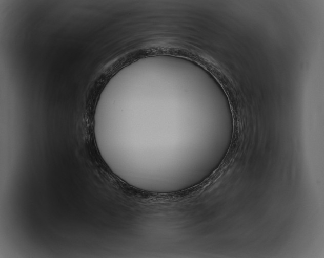 X0000099570822200805160724