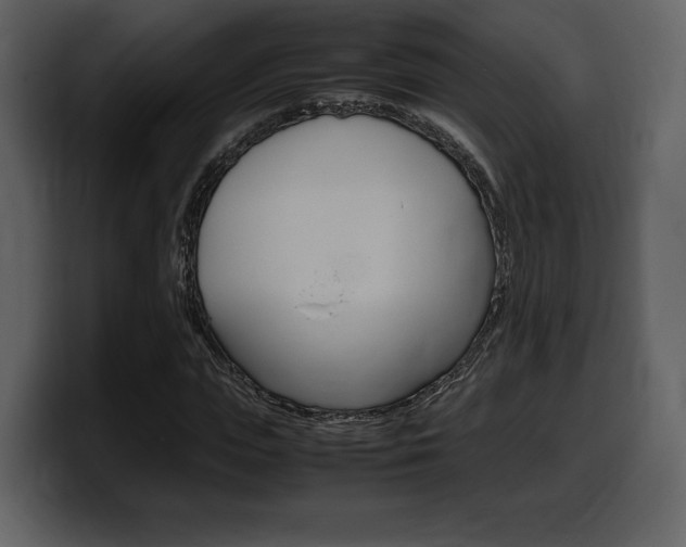 X0000099570823200805160724