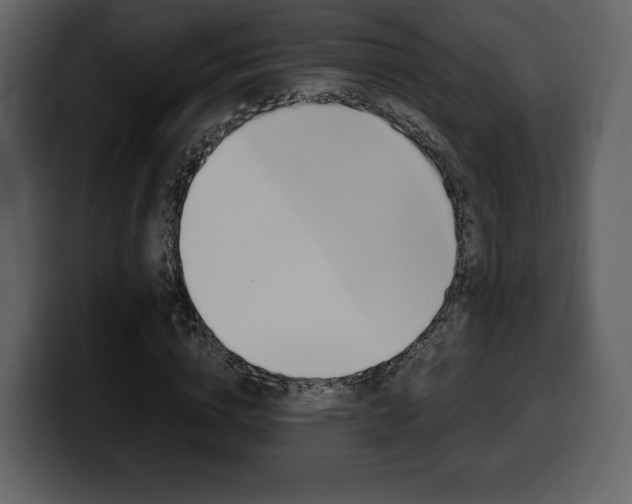 X0000099570824200805160724
