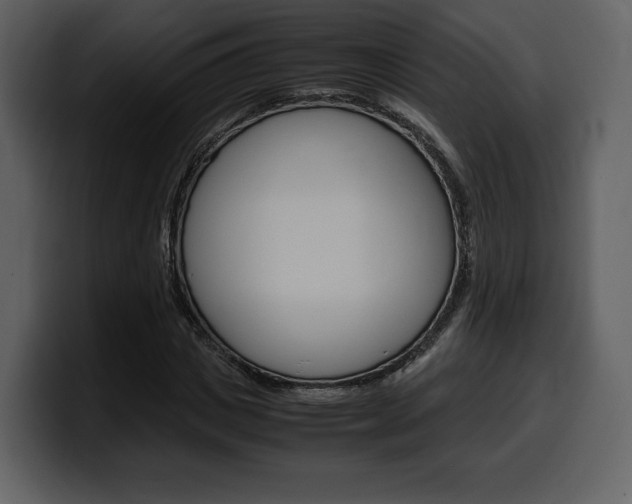 X0000099570825200805160724