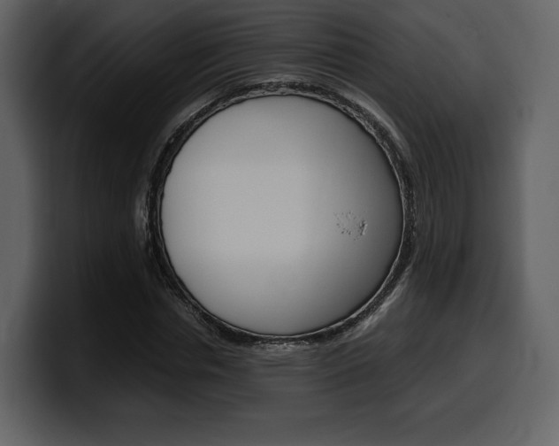 X0000099570826200805160724