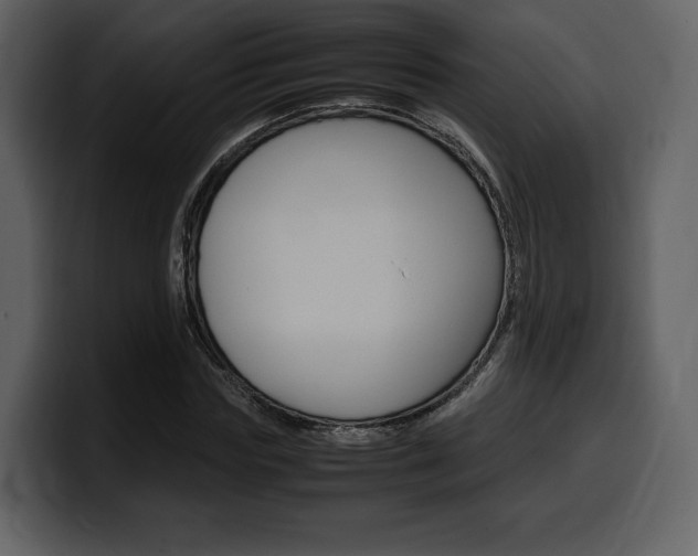 X0000099570827200805160724