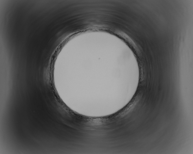 X0000099570828200805160724