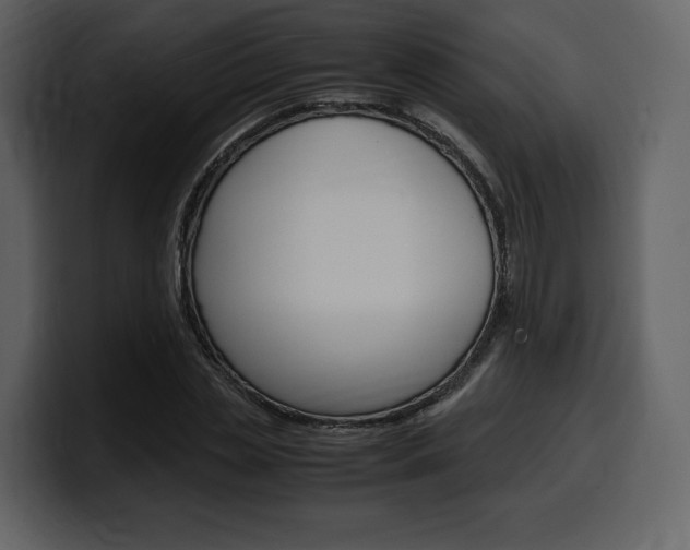 X0000099570829200805160724