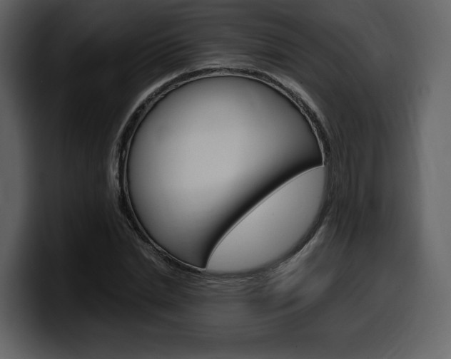 X0000099570830200805160724