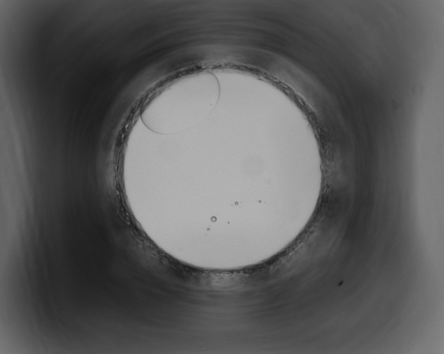 X0000099570832200805160724