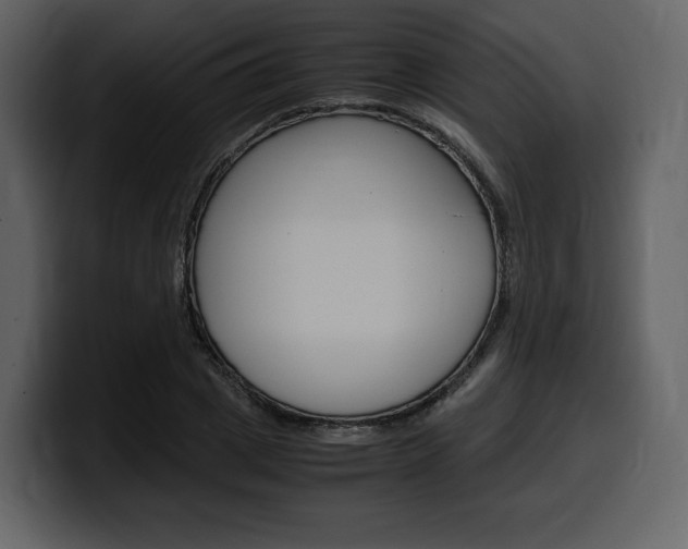 X0000099570833200805160724
