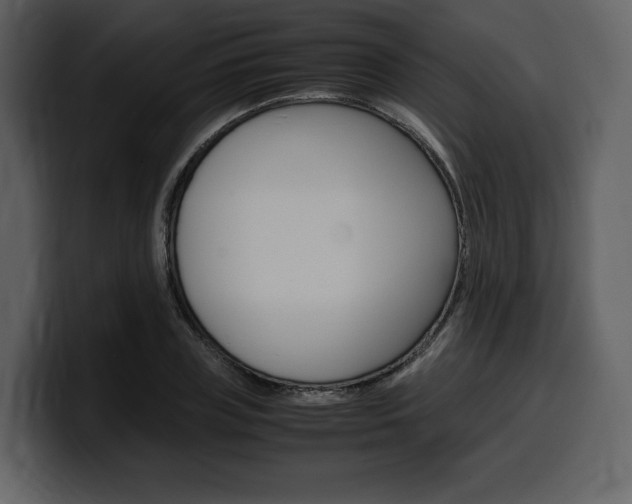 X0000099570835200805160724