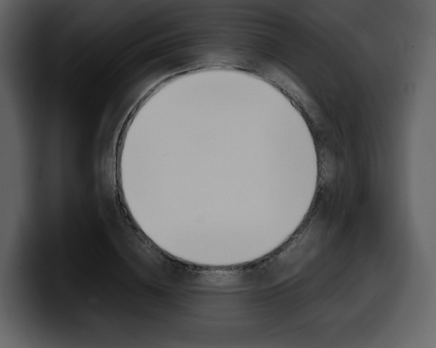 X0000099570836200805160724