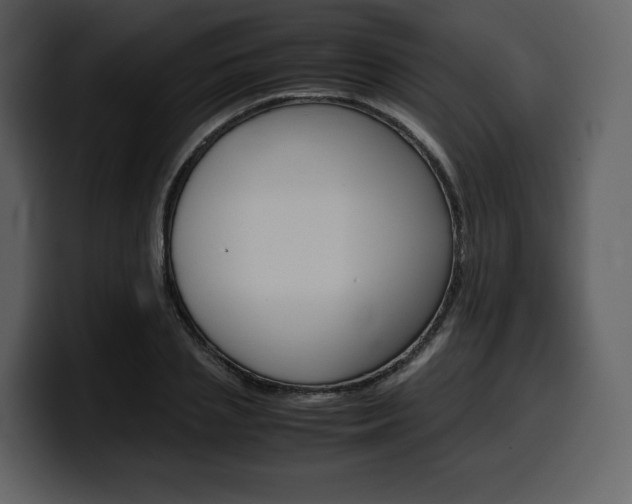X0000099570837200805160724