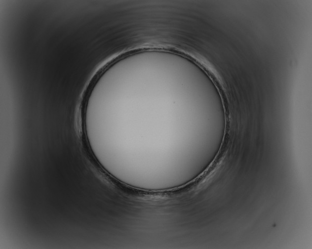 X0000099570838200805160724