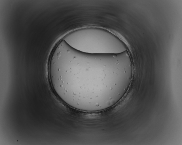 X0000099570839200805160724