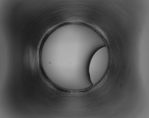 X0000099570840200805160724