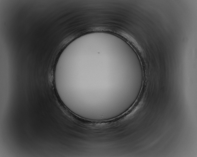 X0000099570841200805160724