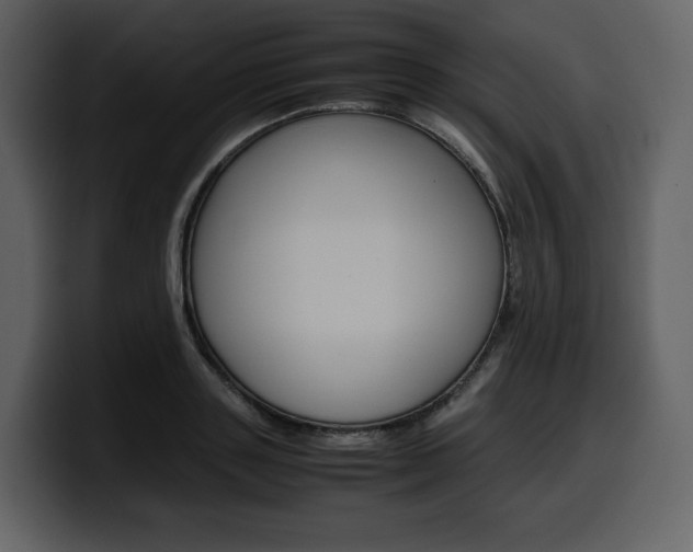 X0000099570843200805160724