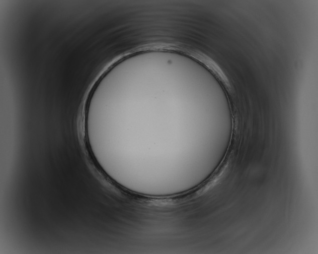 X0000099570844200805160724