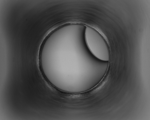 X0000099570845200805160724