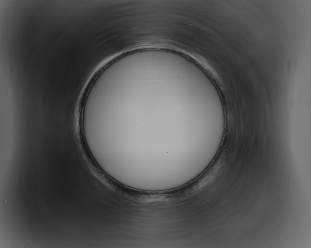 X0000099570846200805160724