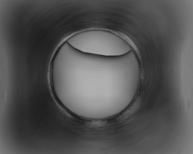 X0000099570847200805160724
