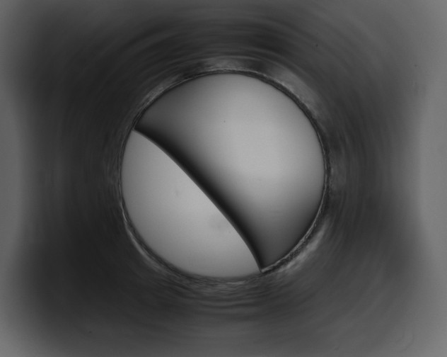 X0000099570849200805160724